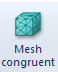 2. Mesh congruent button